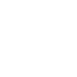 Schweriner Residenzen